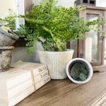 Coffee, Chaos, and Grace: A Season of Full Days